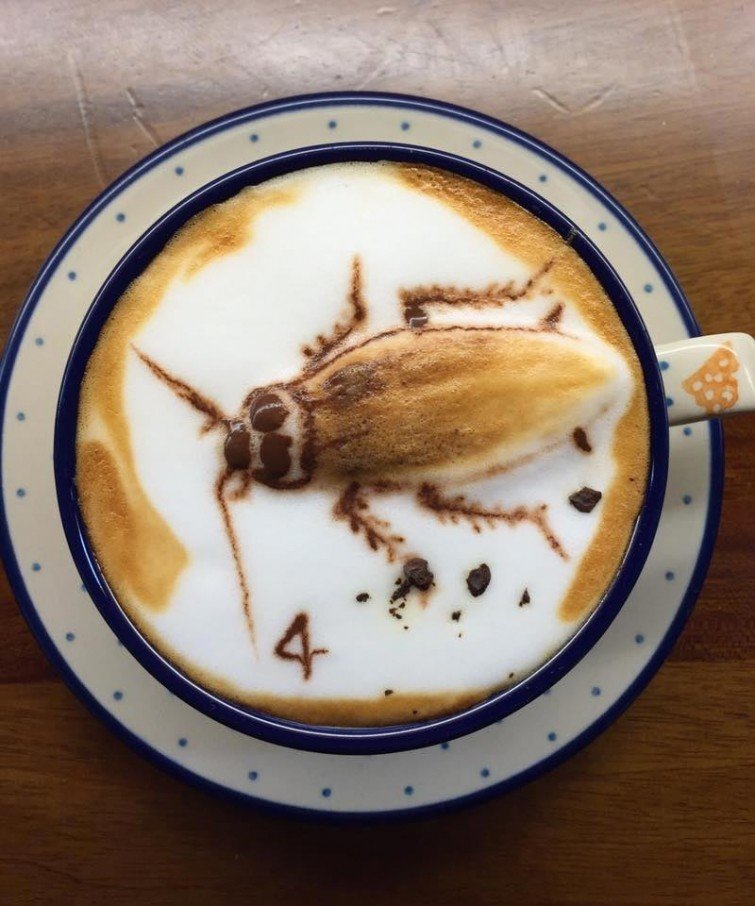 Отважились бы выпить кофе с тараканом?