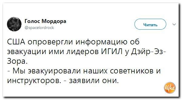 Политические коментарии соцсетей - 213