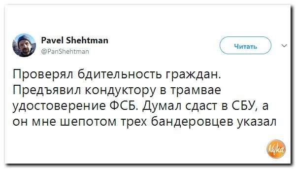 Политические коментарии соцсетей - 213