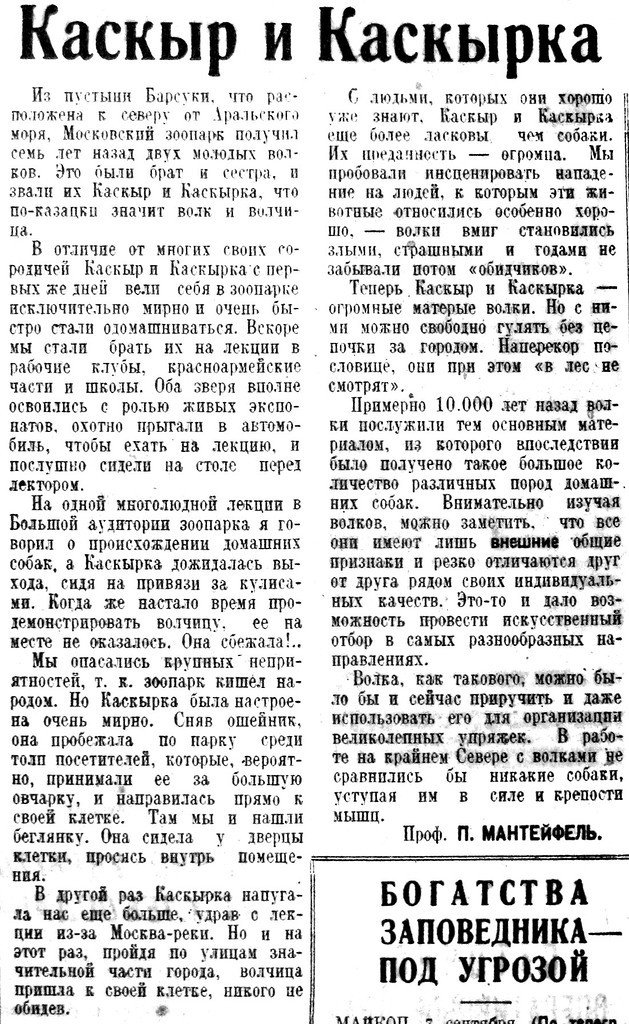 «Известия», 8 сентября 1934 г.