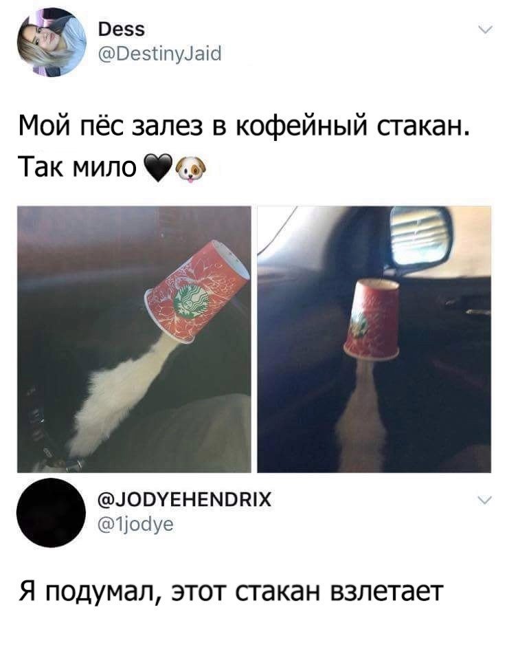 Показалось