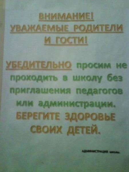 Уникальный айфон, директор-уничтожитель и другие школьные объявления