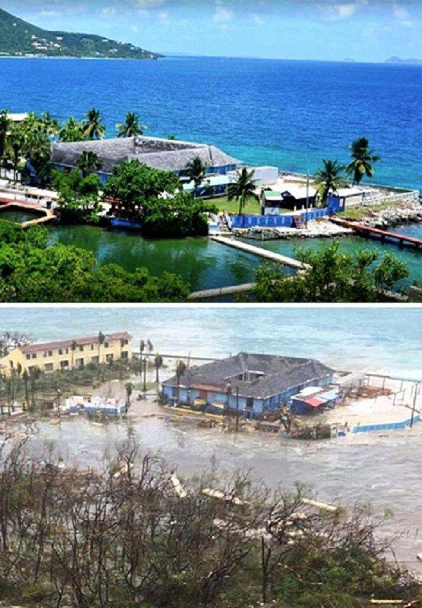 Дельинарий на острове Тортола до и после Ирмы
