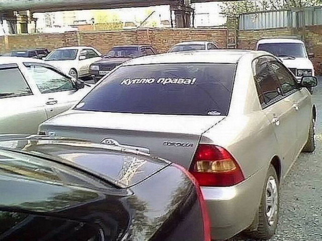 Автовсячина