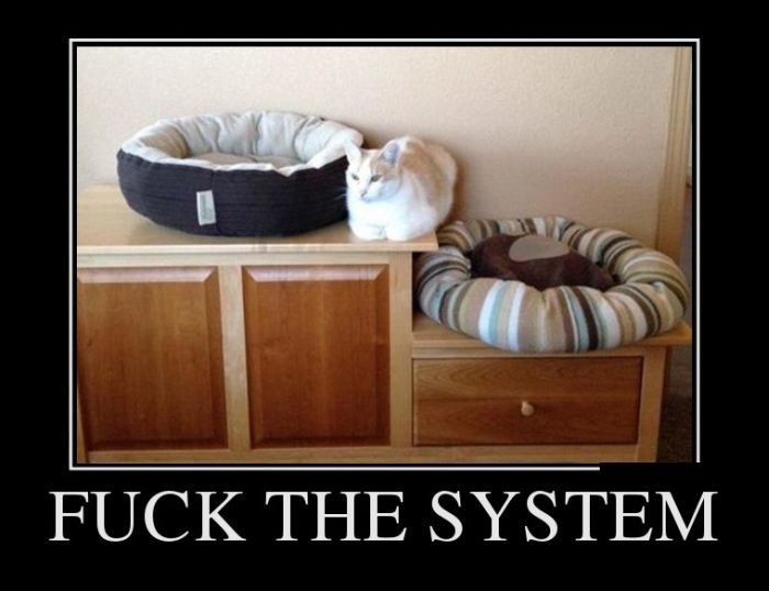  Fuck Your System