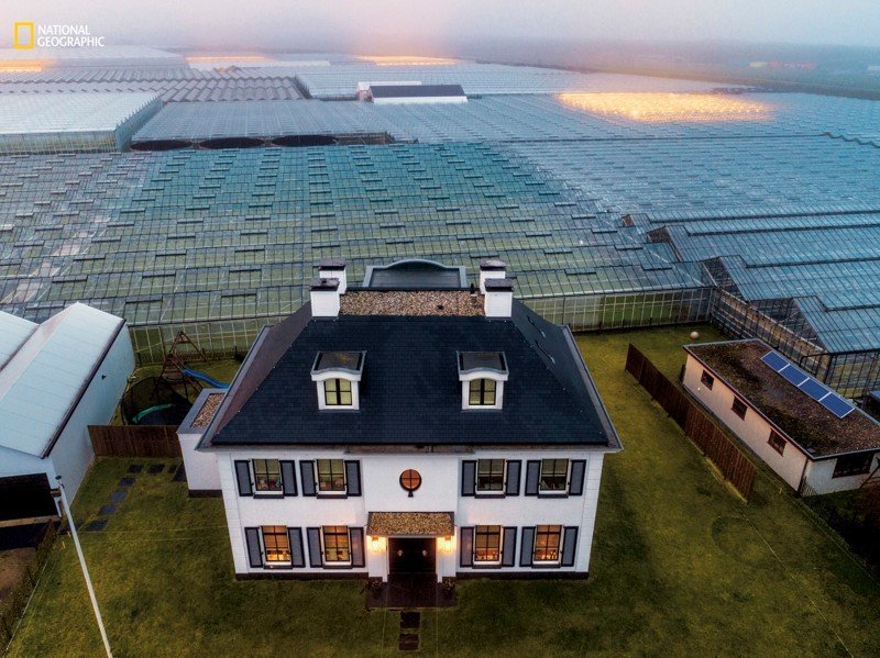 Нидерланды: высокотехнологичное будущее сельского хозяйства