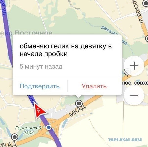 Приколы в пробках