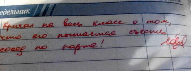 Бред из школьных дневников