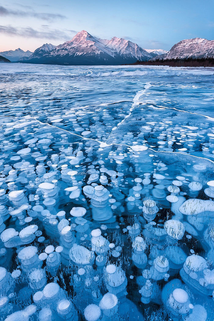 Искусственно созданное озеро Абрахам в Канаде пускает пузыри
