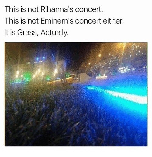 "Это не концерт Рианны. Это не концерт Эминема. Это трава"