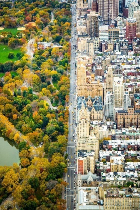 Контрасты Нью-Йорка: "разделение" между городом и Центральным парком