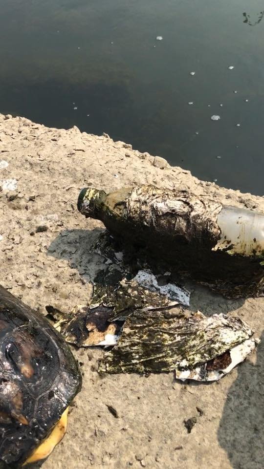Парень заметил странную бутылку в воде