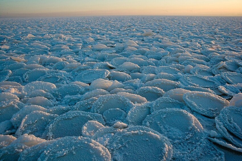 18. Блинчатый лед на Онежском озере. Фотограф - Игорь Подгорный