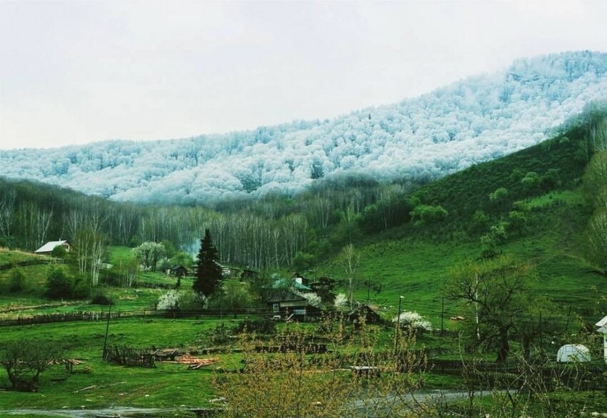 14. Зеленая долина в окружении заснеженных гор