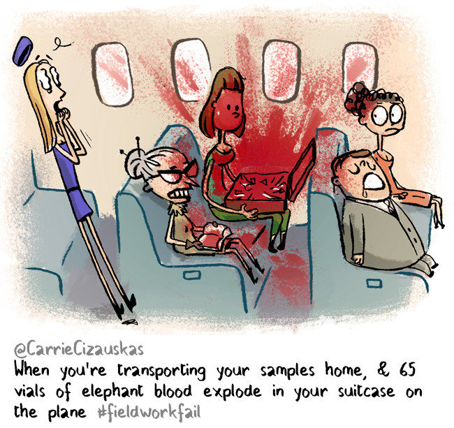 Кэрри Сизаускас перевозила образцы крови слонов, когда 65 пузырьков взорвались прямо на борту самолета  