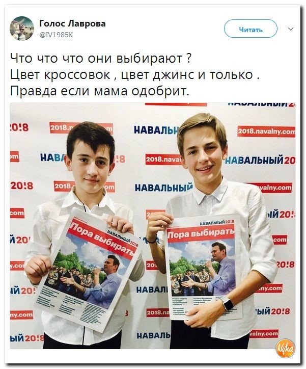Подборка 544
