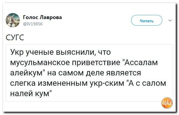 Подборка 544