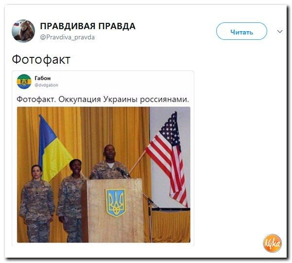 Подборка 544