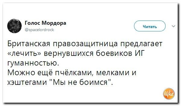 Подборка 544