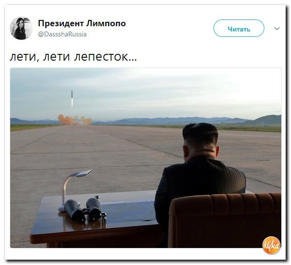 Политические коментарии соцсетей - 225