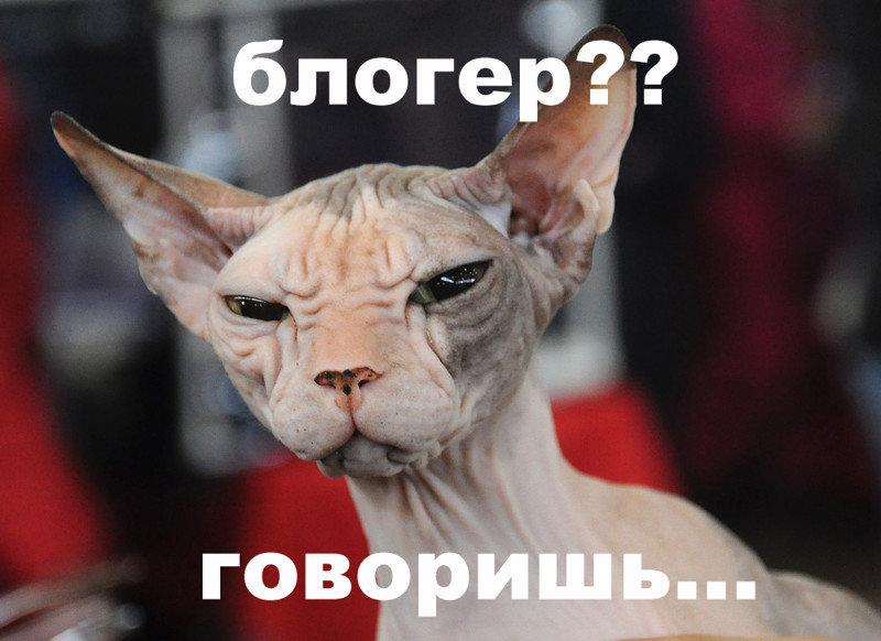 Кто такие блогеры?