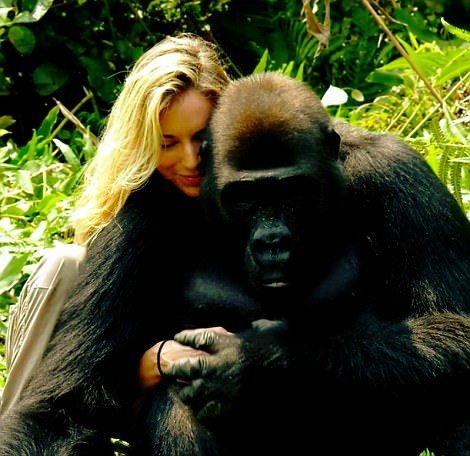 Миллионер-эколог познакомил жену со своей обезьяньей семьей