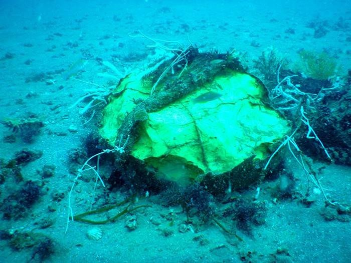 Останки лодки синъё недавно были обнаружены водолазом у побережья Японии на глубине 32 метра  