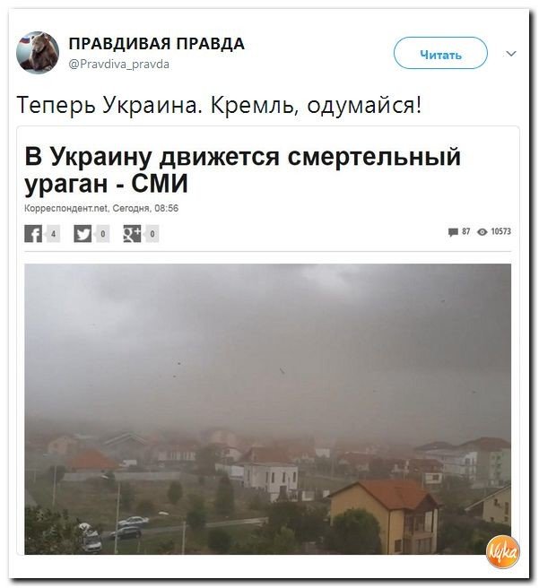 Политические коментарии соцсетей - 227
