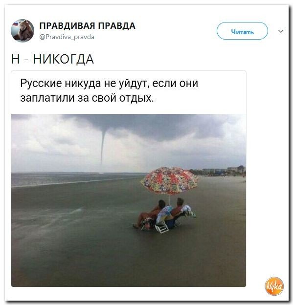 Политические коментарии соцсетей - 227