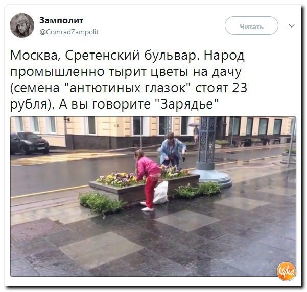 Политические коментарии соцсетей - 227