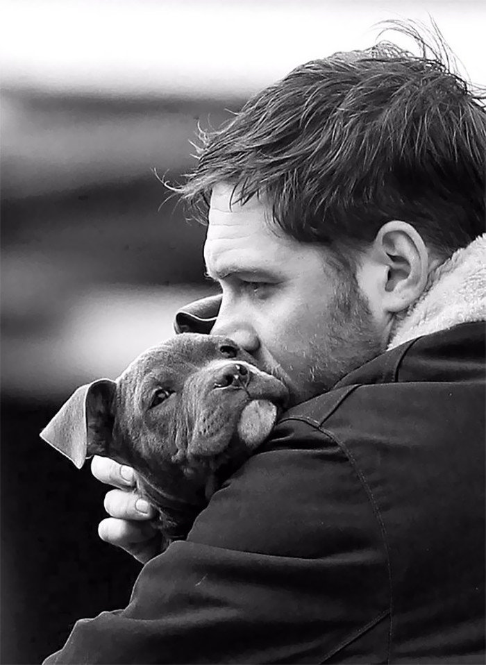 Том Харди с собаками — одна из самых милых вещей, что вы увидите сегодня