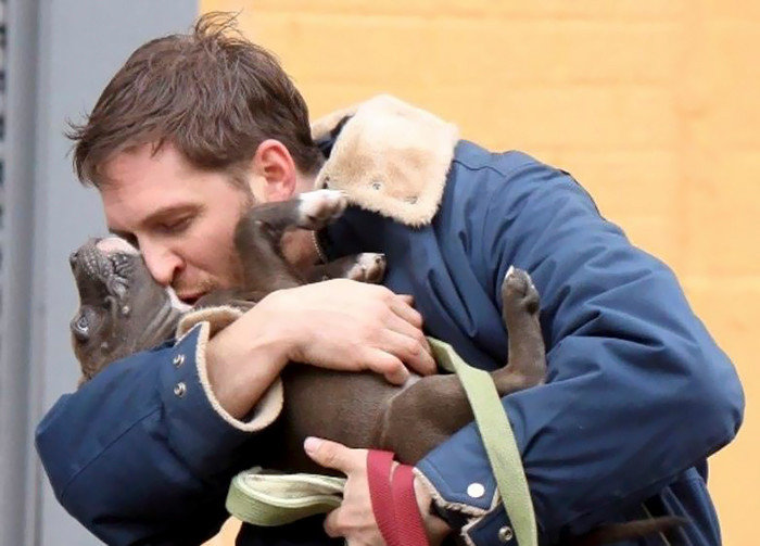 Том Харди с собаками — одна из самых милых вещей, что вы увидите сегодня