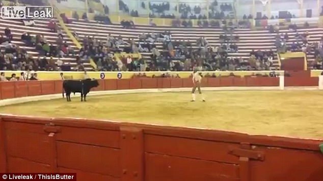 В Португалии бык растерзал тореадора на глазах у зрителей