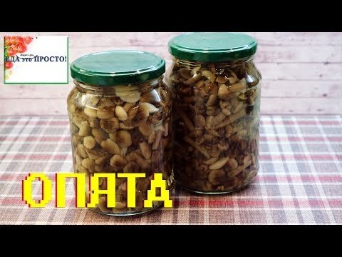 МАРИНОВАННЫЕ ОПЯТА. Рецепт на зиму 