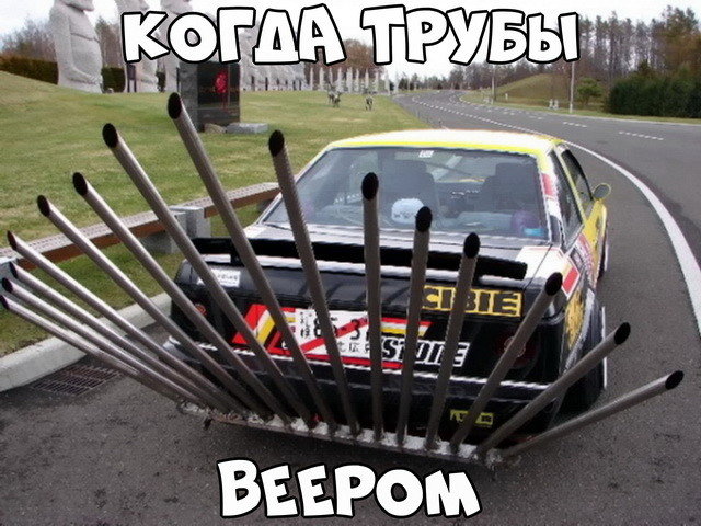 Автовсячина