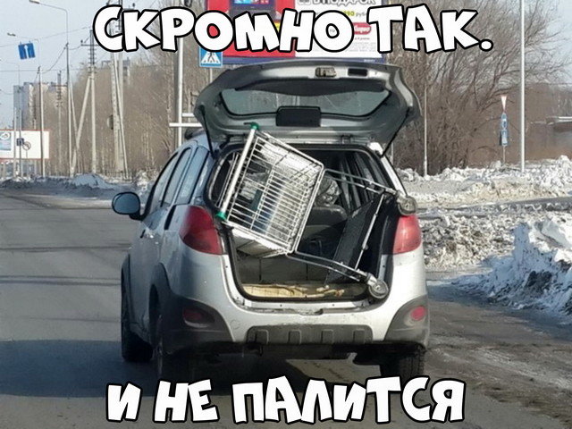 Автовсячина