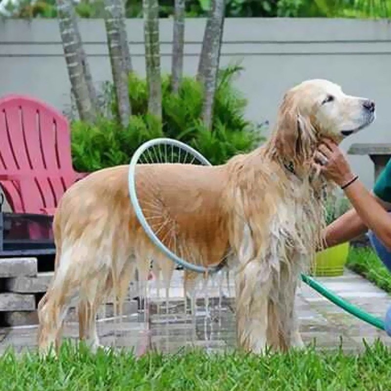 6. Приспособление для мытья собак