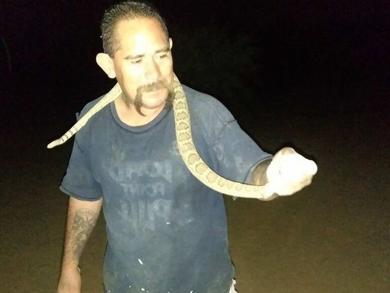 В один прекрасный момент змея была найдена, и 48-летний мужчина словно молодой мангуст бросился за ней в грязь и даже сумел поймать. После этого Виктор решил попозировать с ещё живой добычей на камеру