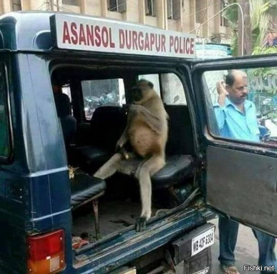 -Этого куда