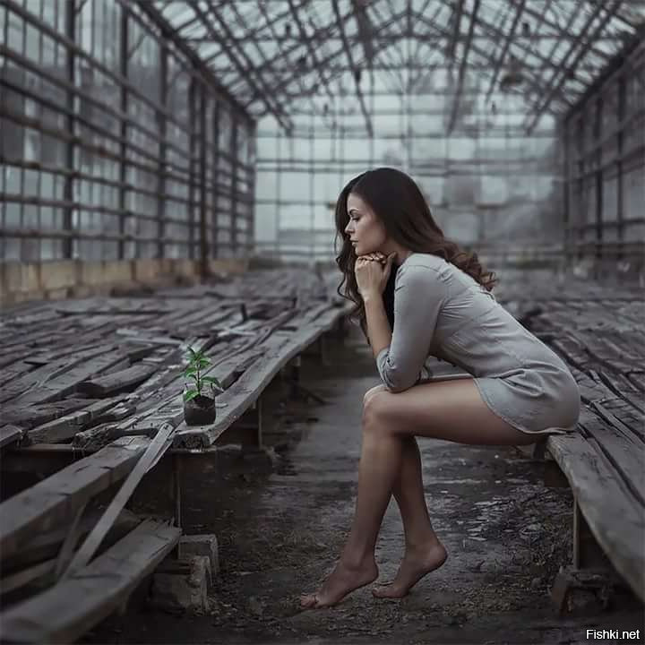 Давид Дубницкий