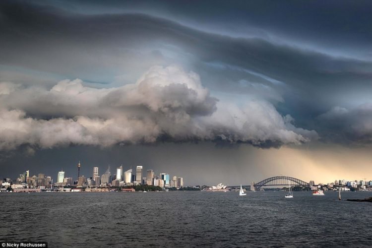 Ники Рочусен, «Сиднейский шторм»