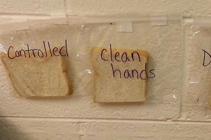 Учительница объяснила детям почему надо мыть руки