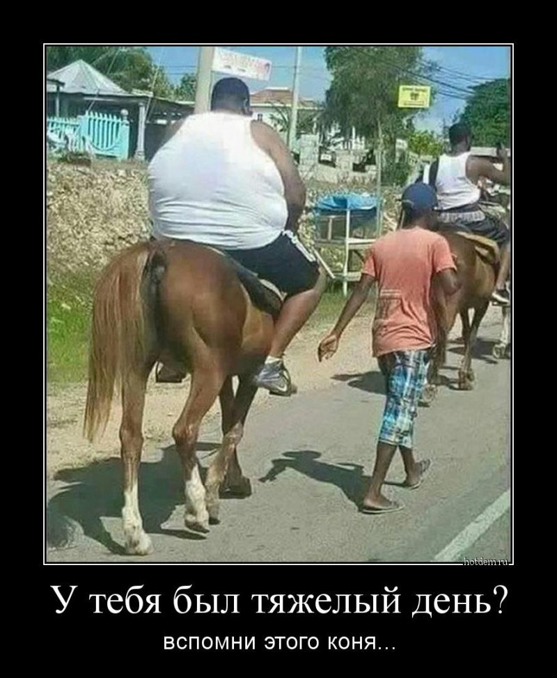 У тебя был тяжелый день? Вспомни этого коня