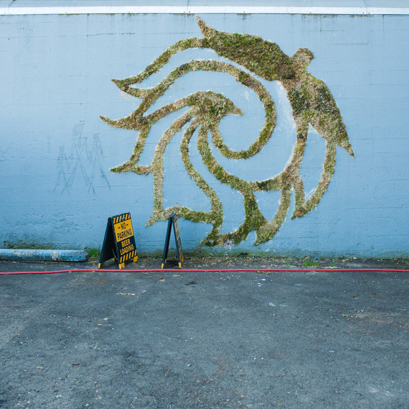 Экологически чистый стрит-арт: граффити, нарисованные мхом