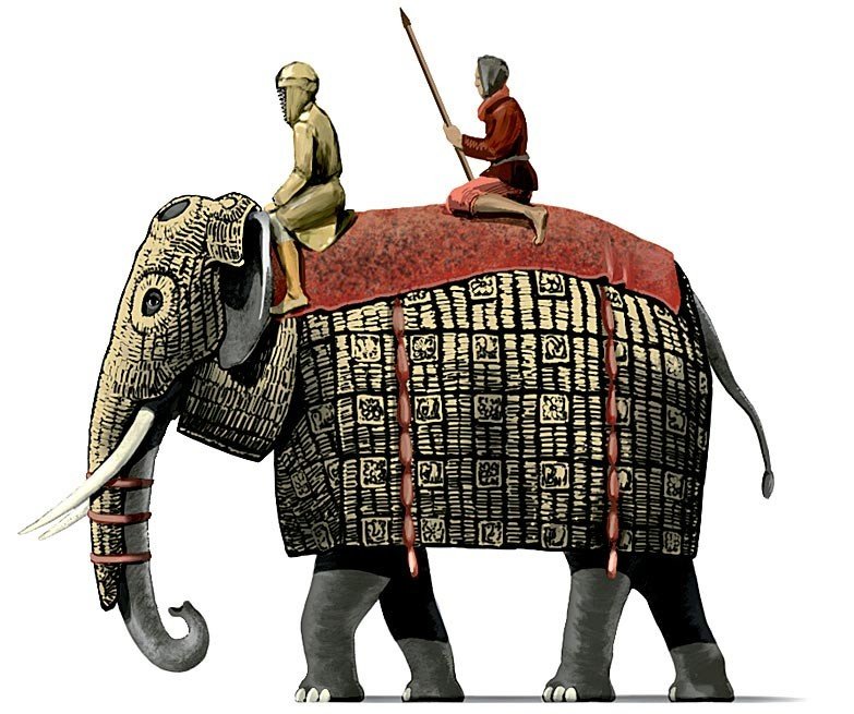 История боевых слонов: курс элефантерии