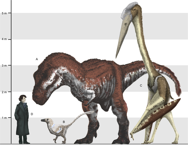 Арамбургиана (Arambourgiania philadelphiae ) — род птерозавров из верхнемеловой эпохи Иордании. Был самым крупным представителем своего семейства.
