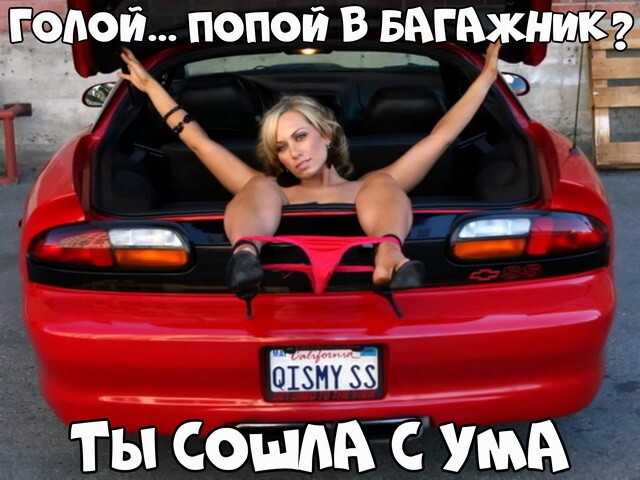 Автовсячина