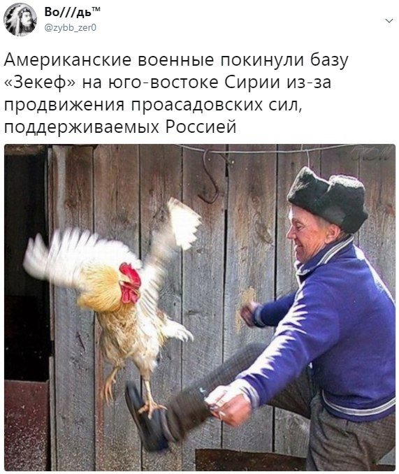 Политические коментарии соцсетей - 234