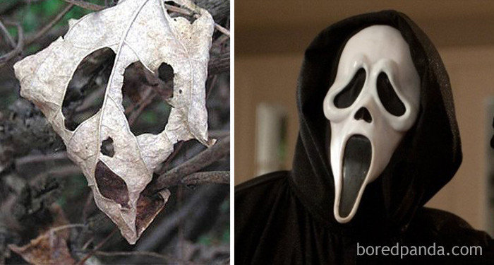 Лист и маска из фильма "Крик"