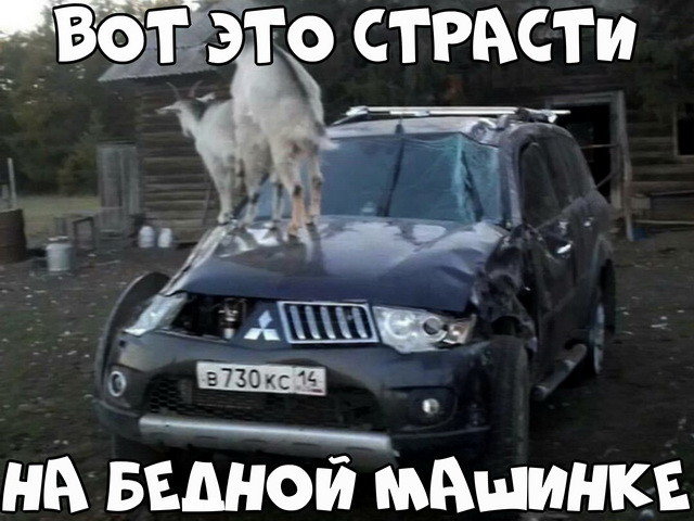 Автовсячина